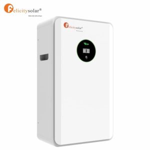 Felicity Lithium Battery 5.12kWh 51.2V Felicity Lithium Battery 5.12kWh 51.2V (Model: LUX-E-48100LG04)